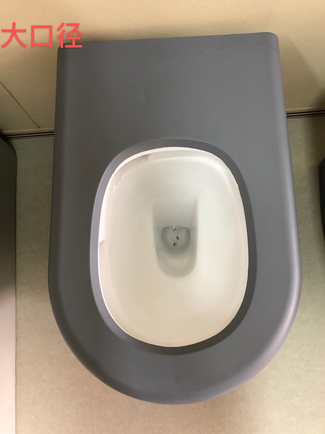 談話(huà)室置留室防撞馬桶工程案例